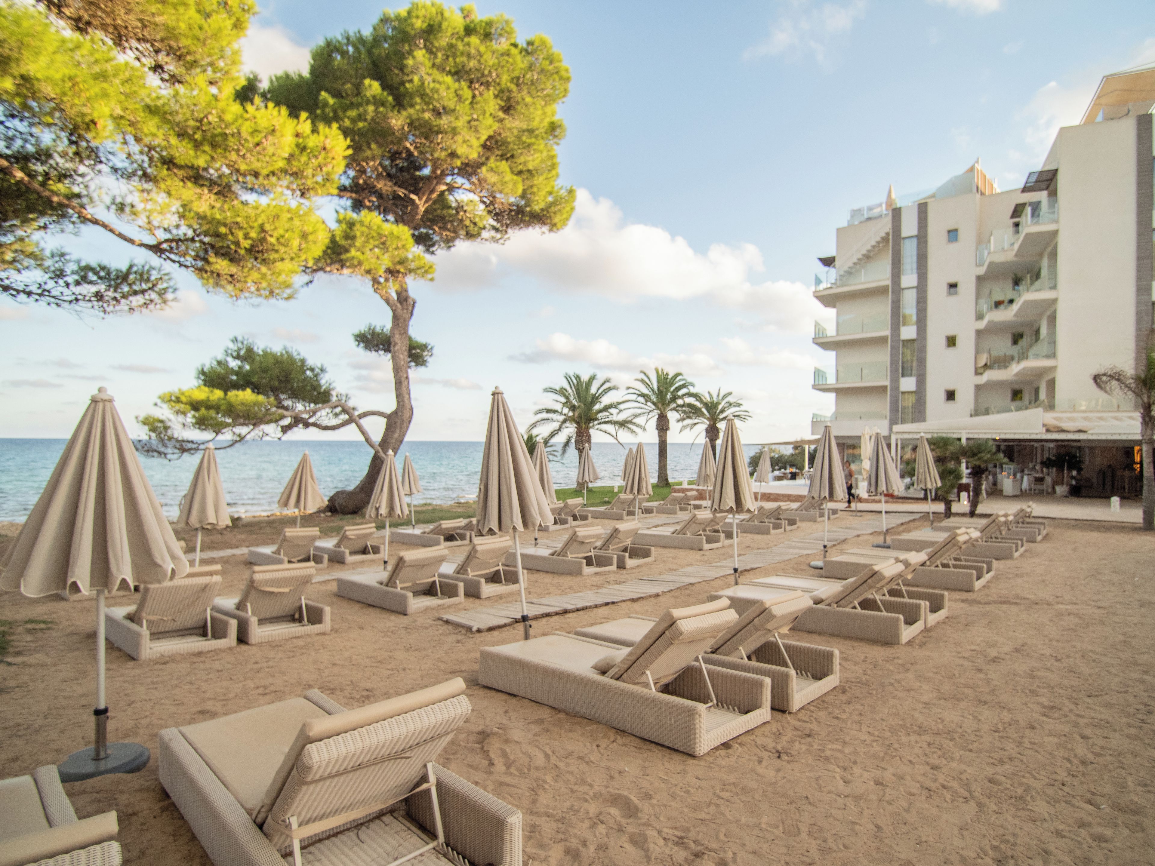 A beachside hotel with lounge chairs and umbrellas, a large tree, and a building with balconies.