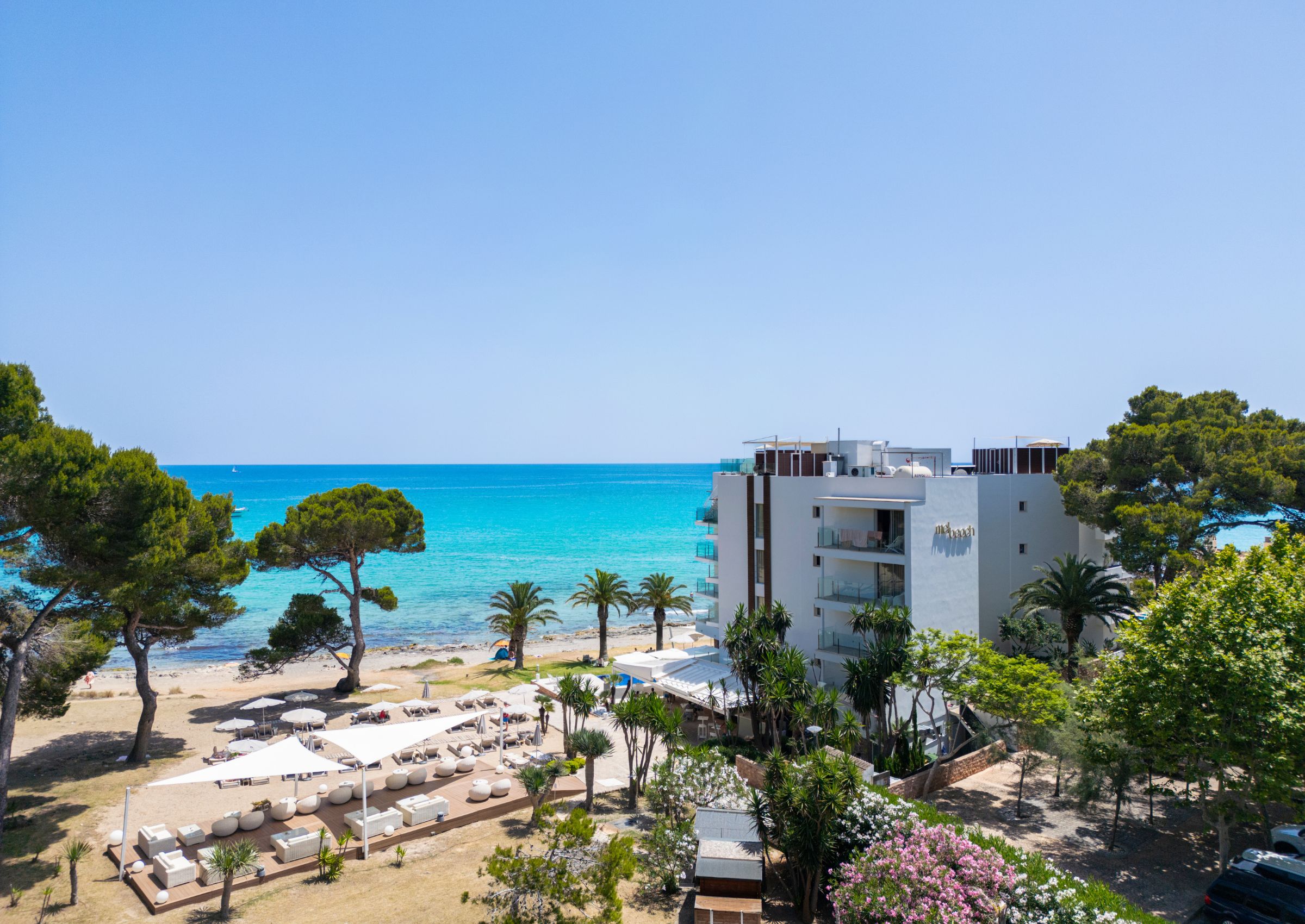 Un hotel frente a la playa con piscina, palmeras y vistas al mar.