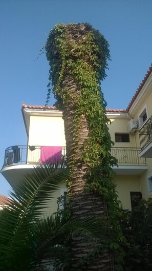 บริ เวณภายนอก