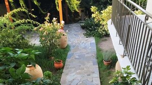 Un sendero de piedra que atraviesa un jardín con diversas plantas y una barandilla metálica a la derecha.