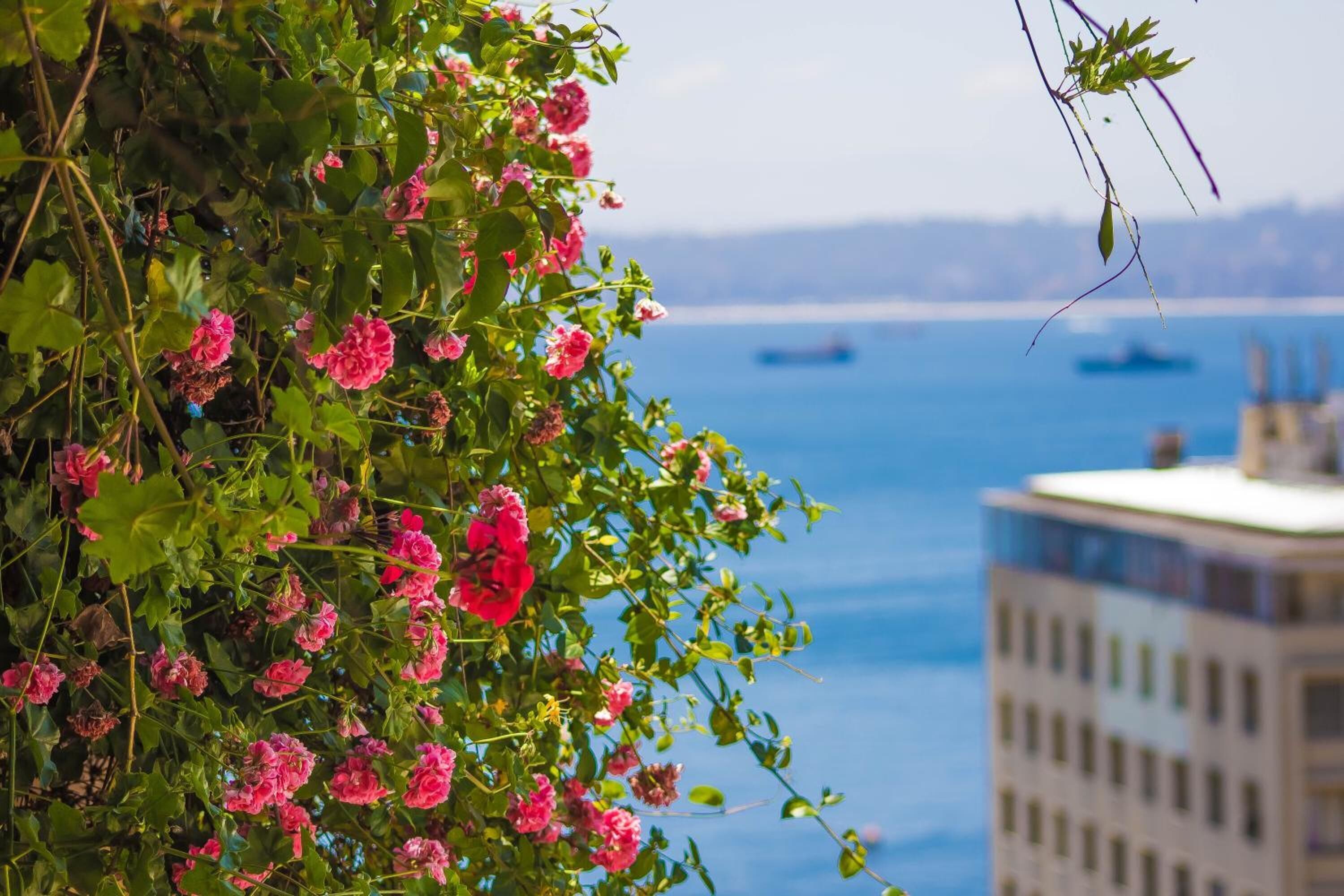 A view of a building with a balcony overlooking a body of water.