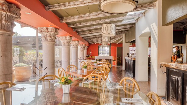 Un comedor amplio con una mesa larga, varias sillas y un adorno central.