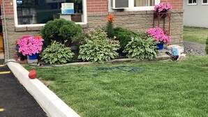 Un edificio con fachada de ladrillo, una ventana con el cartel 'NO SE PERMITEN MASCOTAS' y un pequeño jardín con diversas plantas y flores.