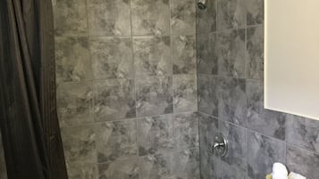 Combined shower/tub, hair dryer