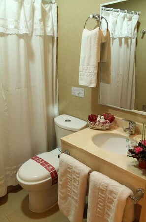 Combined shower/bathtub, free toiletries, hair dryer