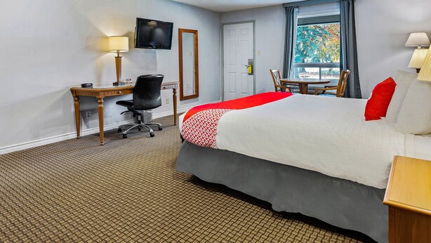 Una habitación de hotel con cama, escritorio, silla, televisor y ventana con vistas.
