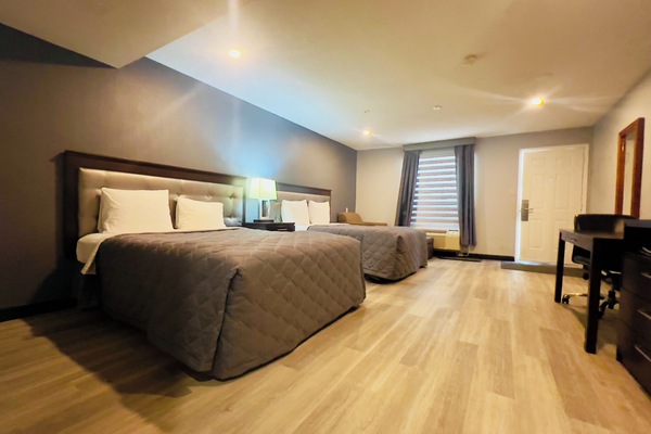 Room with 2 Queen Beds | Desk, soundproofing, iron/ironing board, rollaway beds