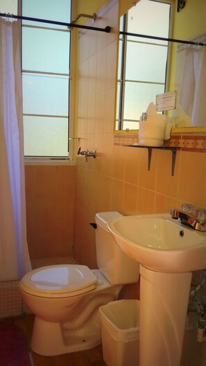 A bathroom with a toilet, sink, and shower area. - Hotel San Jerónimo (San Jeronimo)