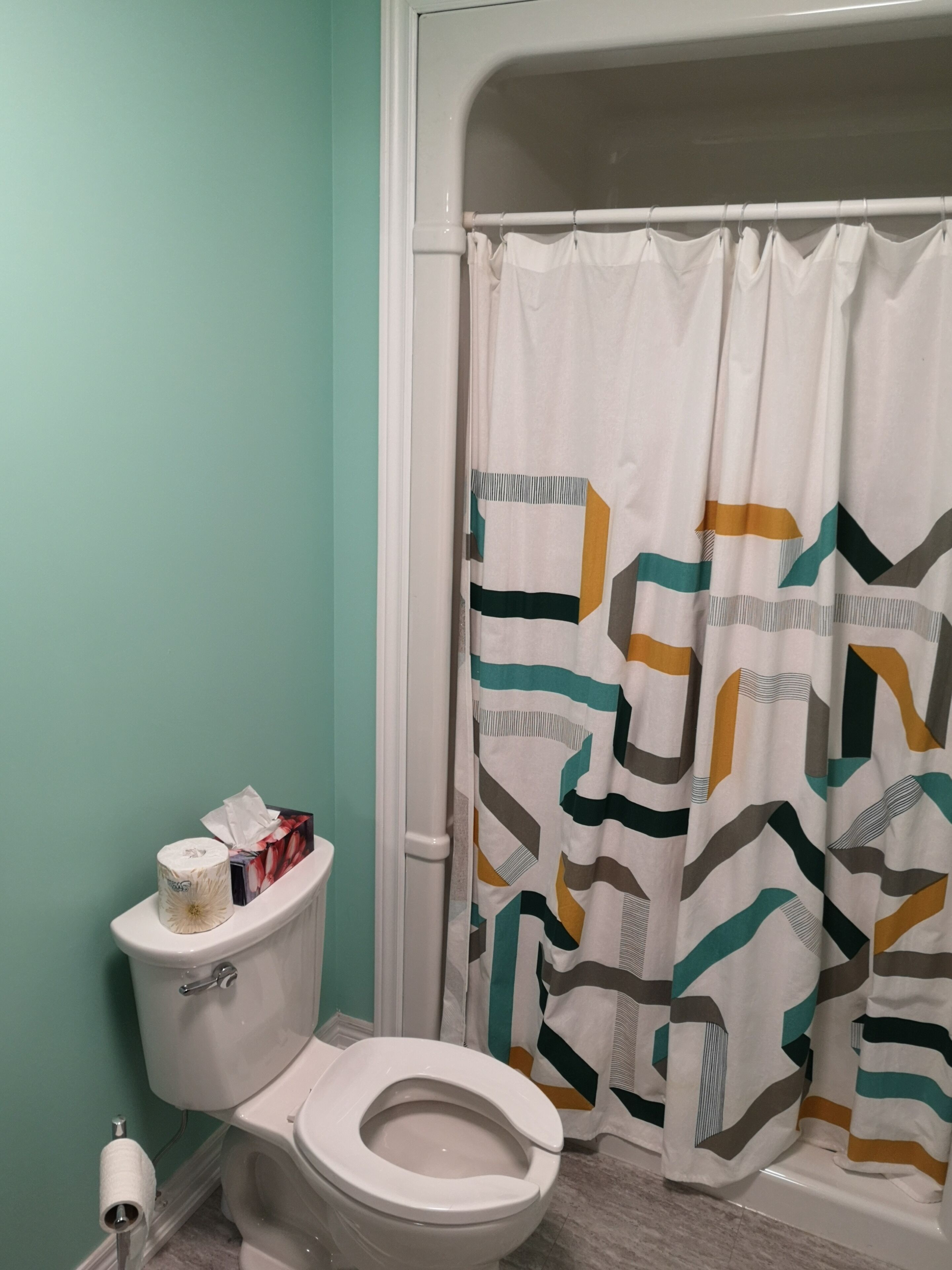 A bathroom with a toilet, a roll of toilet paper, a box of tissues, and a shower curtain with a geometric pattern.