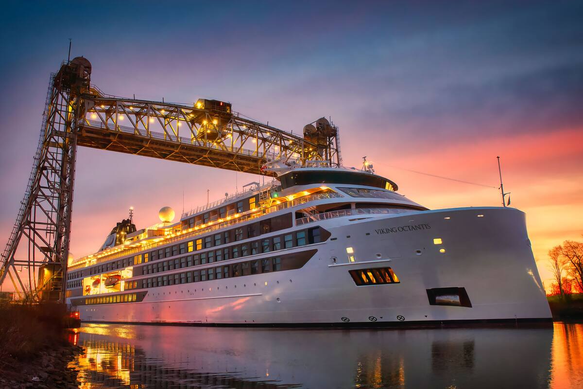 Ein großes Kreuzfahrtschiff liegt an einem Hafen an, unter dem sich eine Brücke befindet.