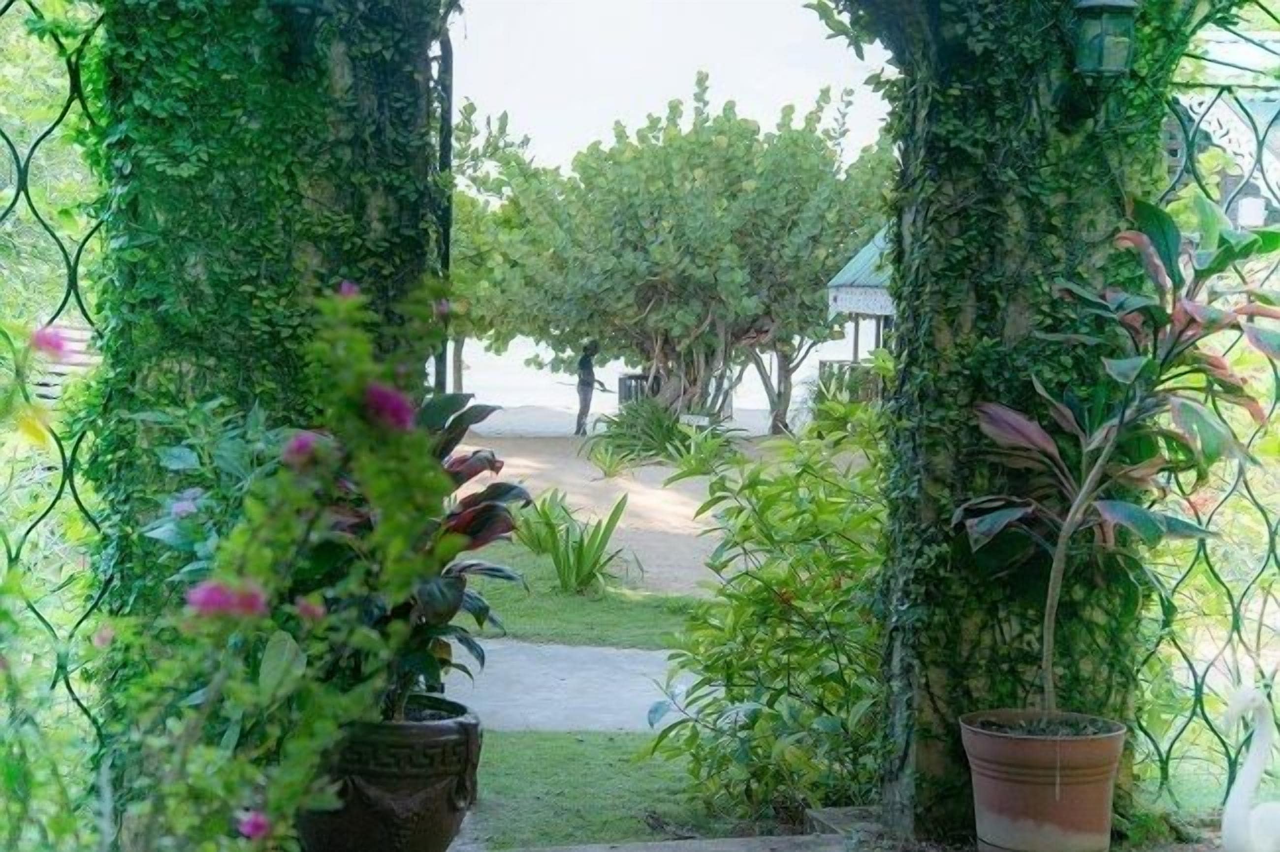 A garden pathway flanked by trees covered in ivy, leading to a building with a traditional design.