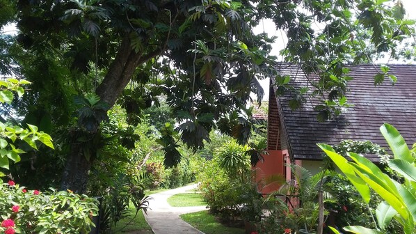 A pathway leading to a house surrounded by lush greenery and trees. - Firefly Beach Cottages and Suites (Negril)