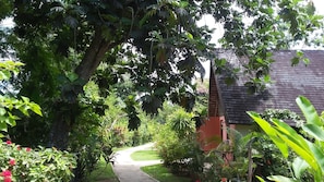 Vista desde la propiedad