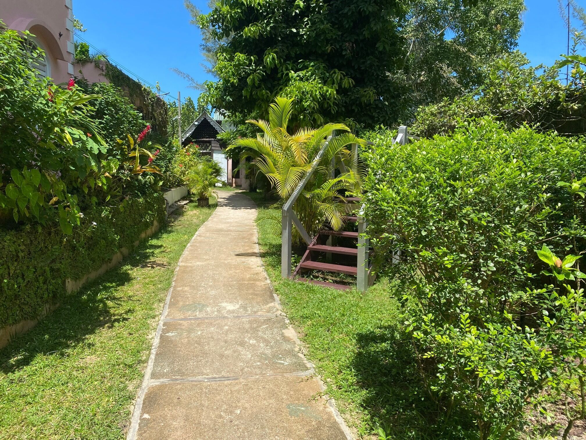 Un sendero conduce a un edificio rodeado de abundante vegetación y una pequeña escalera.