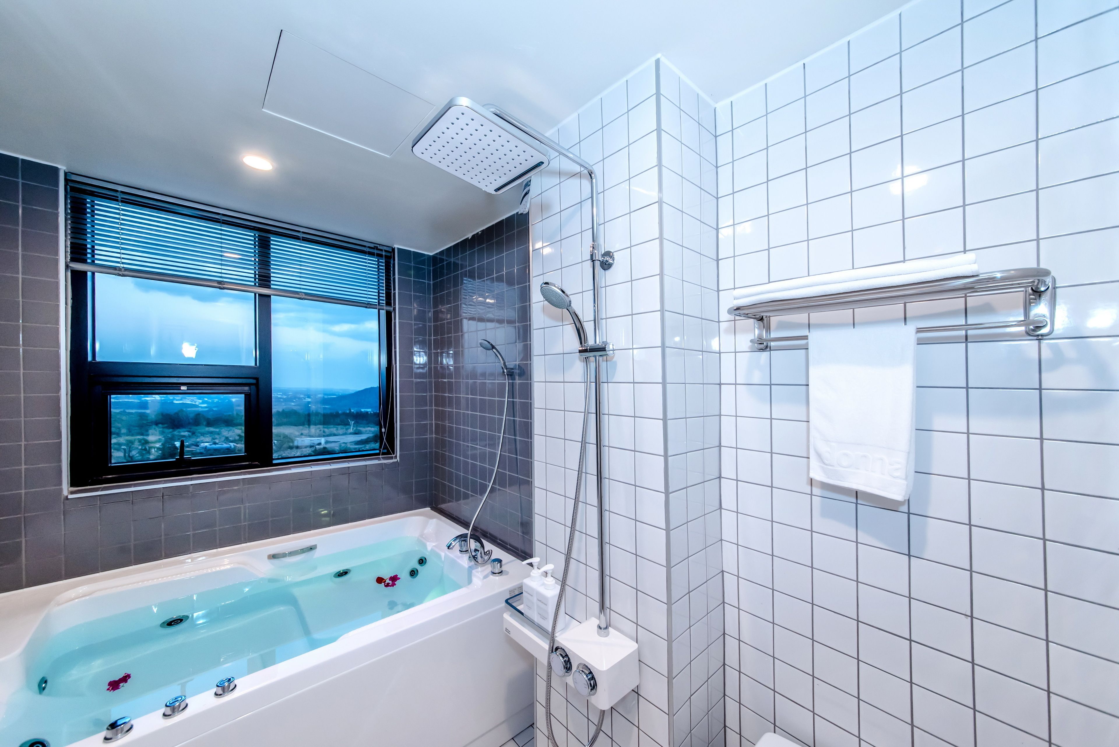 deluxe room (spa, pet unfriendly) | bathroom shower