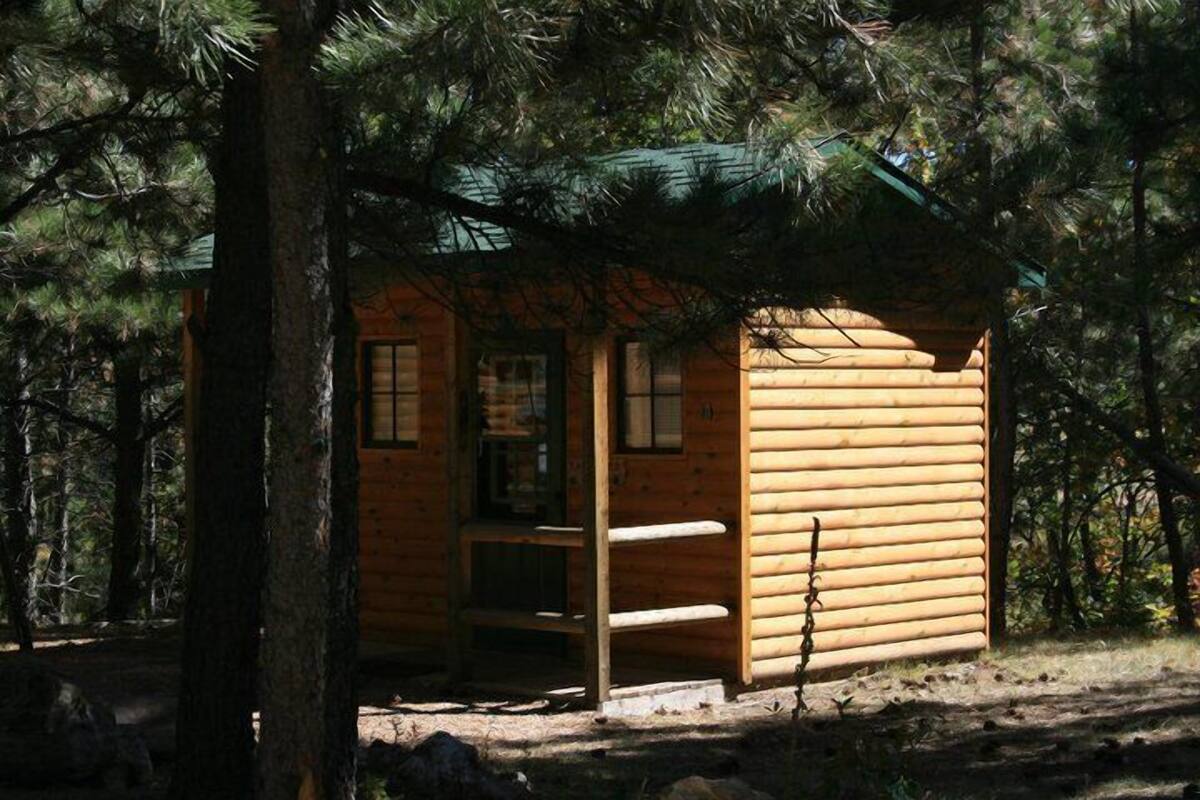 A small wooden cabin with a porch, surrounded by trees.