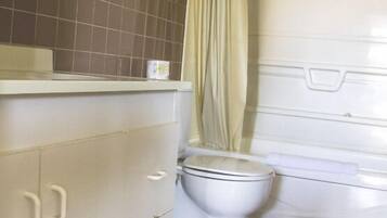 Shower, hair dryer