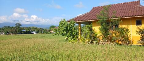 A yellow building with a red roof, surrounded by a green field and trees.