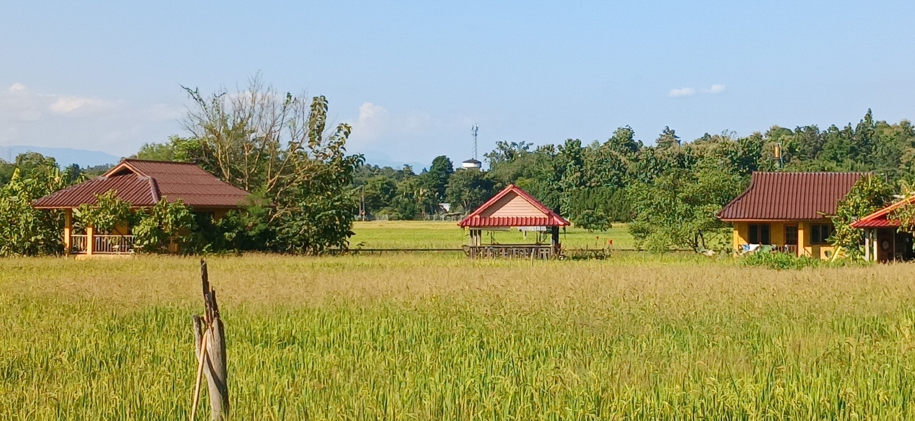Ländliche Landschaft mit drei Bauernhäusern, einem Eggenfeld und blauem Himmel.