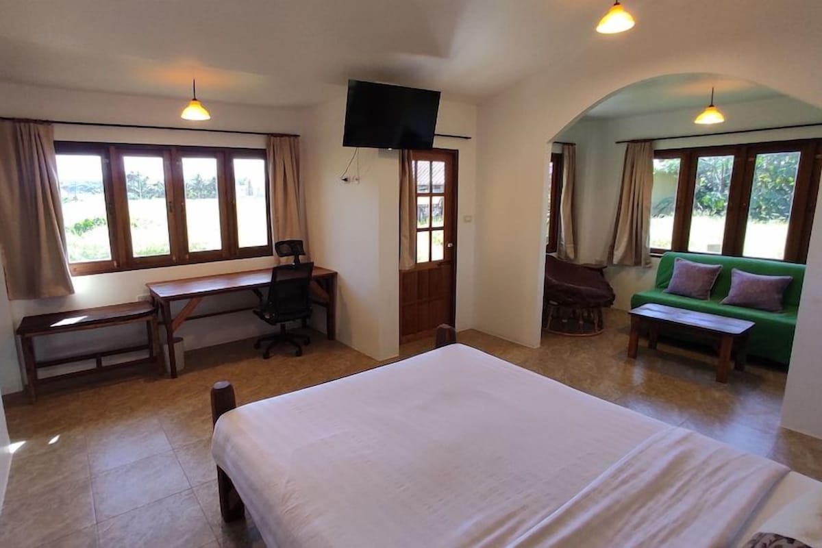 A room with a bed, desk, chair, and a green couch.