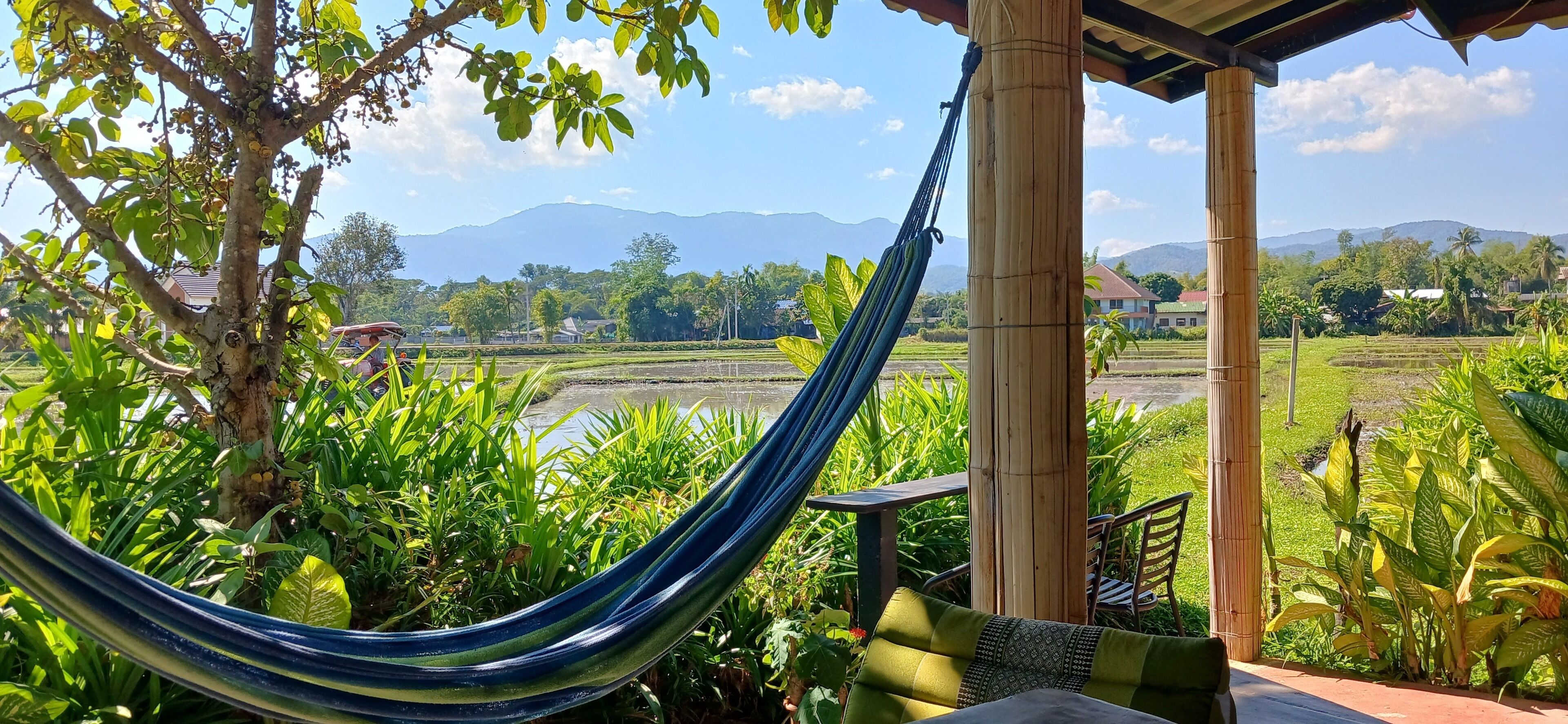 Vistas desde el alojamiento