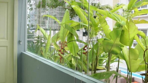 Una ventana que ofrece vistas a un edificio y algo de vegetación.
