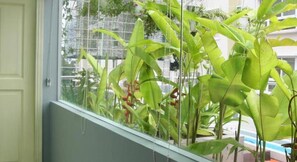 Une fenêtre donnant sur un bâtiment et sur quelques espaces verts à l’extérieur.