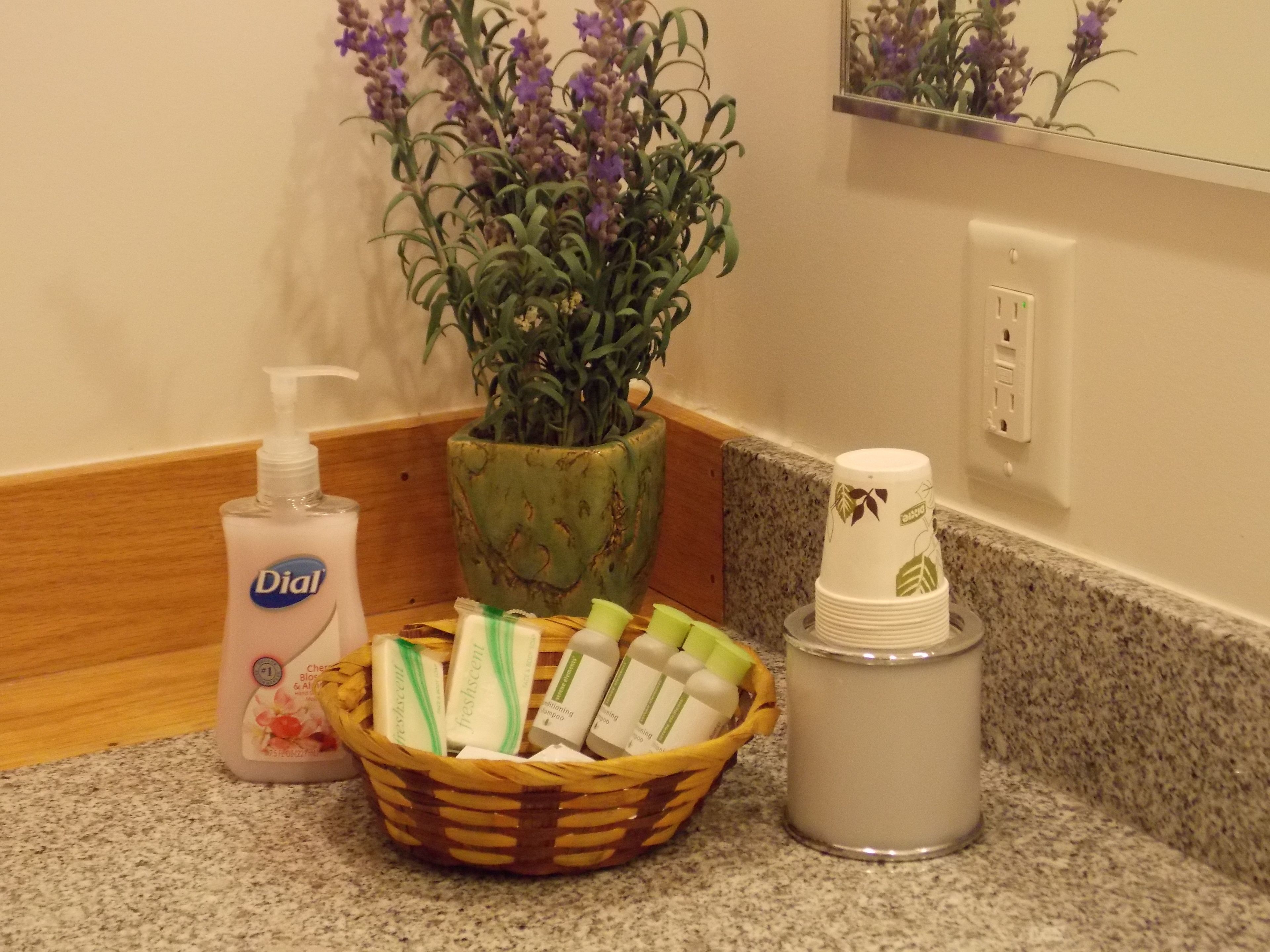 superior suite, 1 king bed, jetted tub | bathroom amenities | combined shower/bathtub, jetted bath, free toiletries, hair dryer