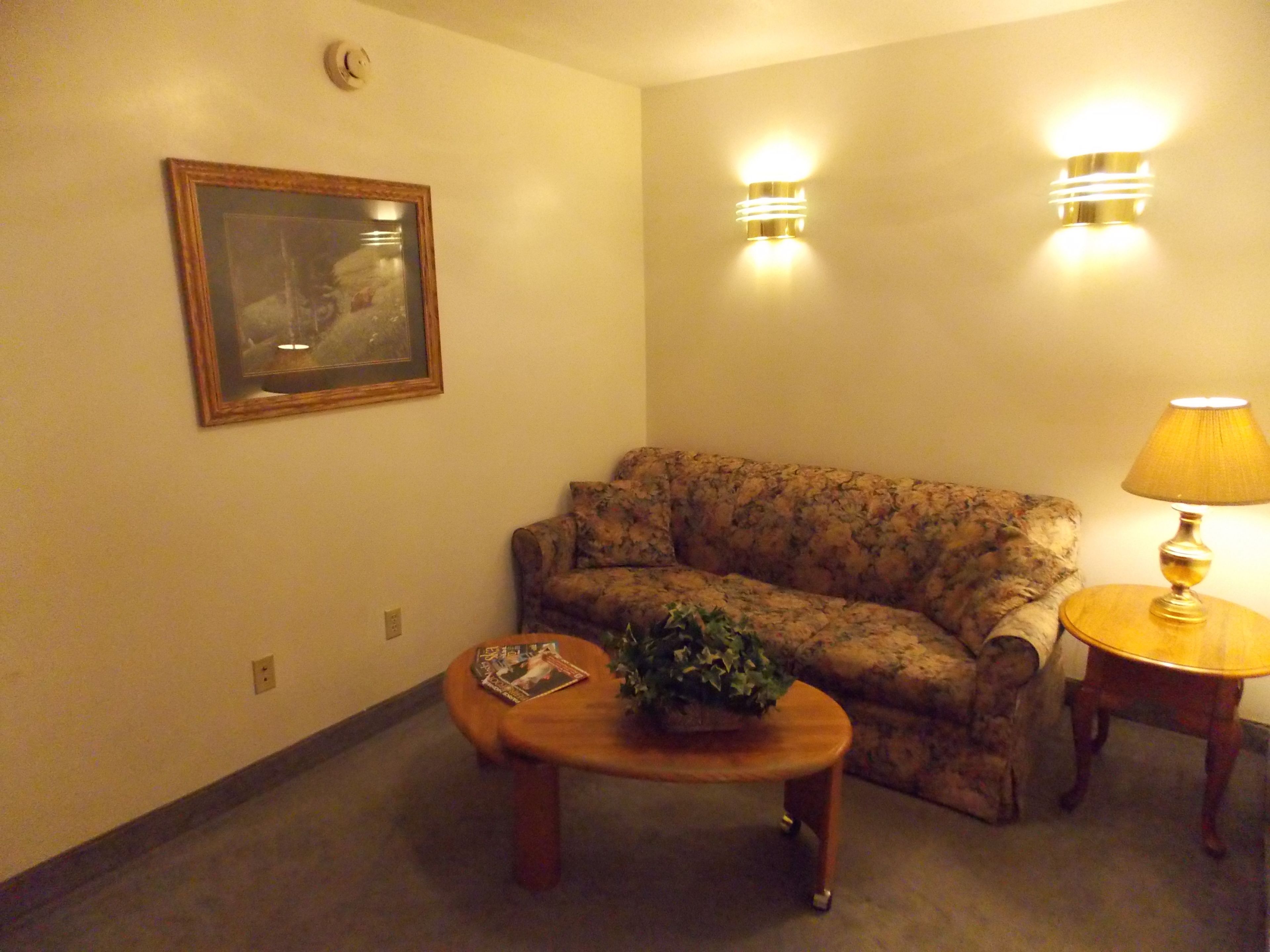 superior suite, 1 king bed, jetted tub | living area | 48-inch led tv with cable channels, tv, dvd player