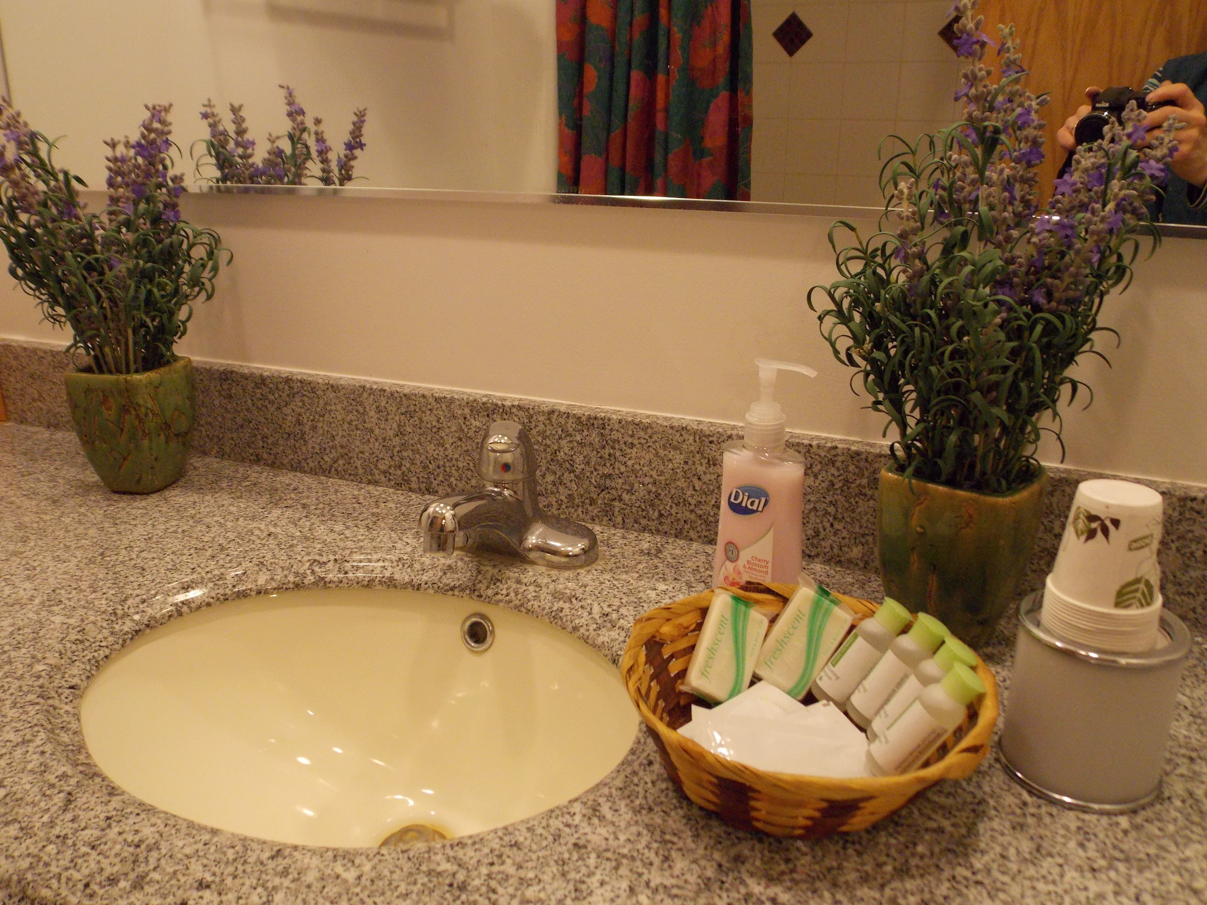 signature studio suite, kitchen | bathroom amenities | combined shower/bathtub, jetted bath, free toiletries, hair dryer