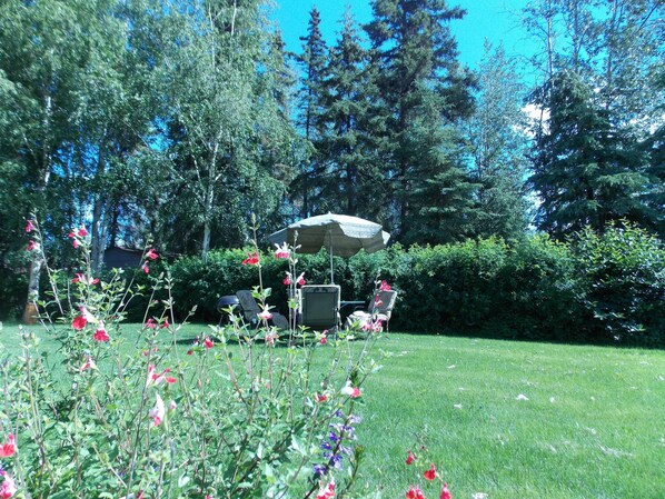 Un jardin avec une pelouse, un espace patio doté de chaises et d’un parasol, et de grands arbres en arrière-plan.