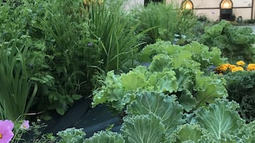 Jardin