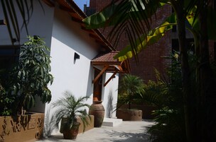 Un patio con un edificio blanco, un muro de ladrillo y diversas plantas en macetas.