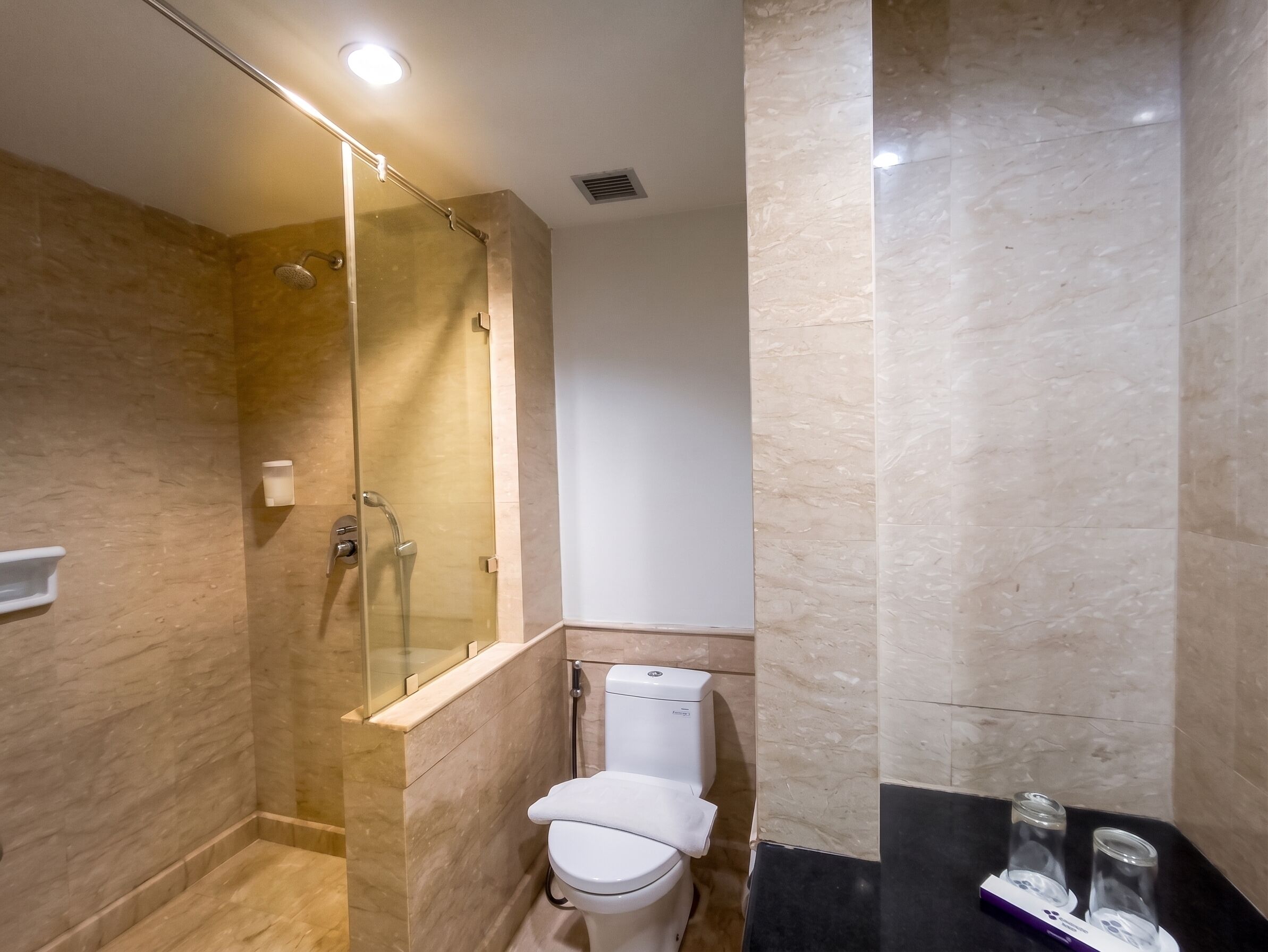 Un baño moderno con ducha envuelta en vidrio, inodoro y zona de lavamanos.