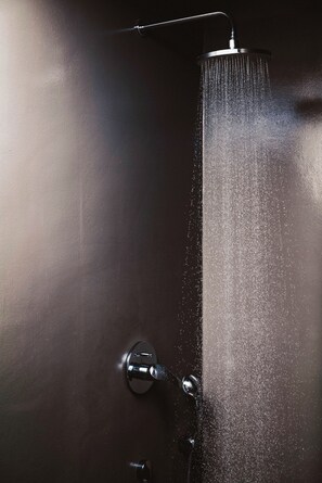 Chambre Double ou avec lits jumeaux | Salle de bain | Douche, douche à « effet pluie », serviettes fournies