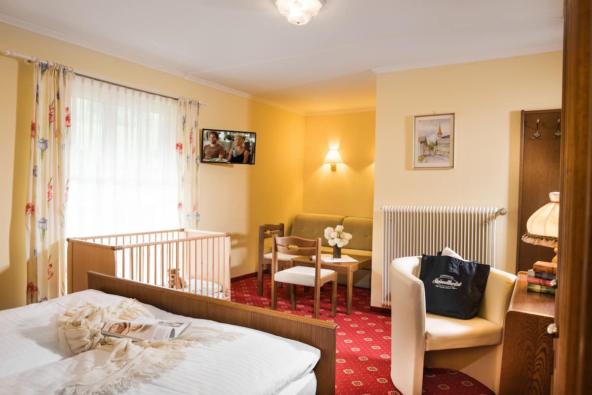 Ein Hotelzimmer mit einem Bett, einem kleinen Schreibtisch, einem Sessel, einer Couch, einem Heizkörper und einer Lampe.