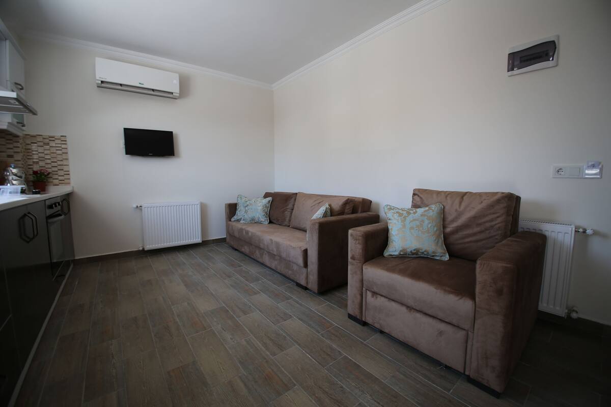 Ein kompakter Wohnbereich mit zwei Sofas, einer kleinen Küchenzeile und einem an der Wand befestigten Flachbildfernseher.