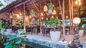 朝食、ランチ、ディナー、ブランチに営業