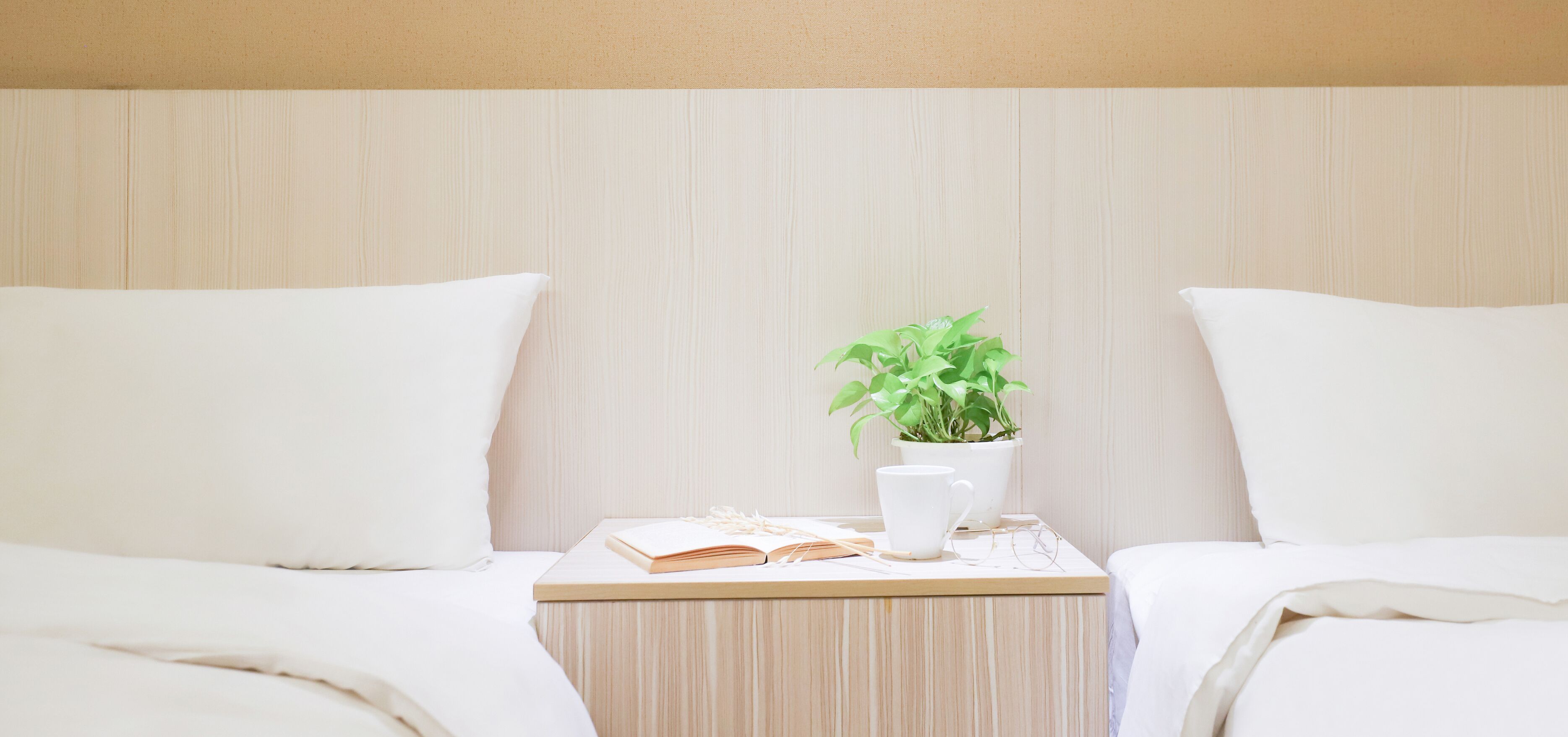 A neatly made bed with white bedding, a bedside table with a book, a cup, and a potted plant.