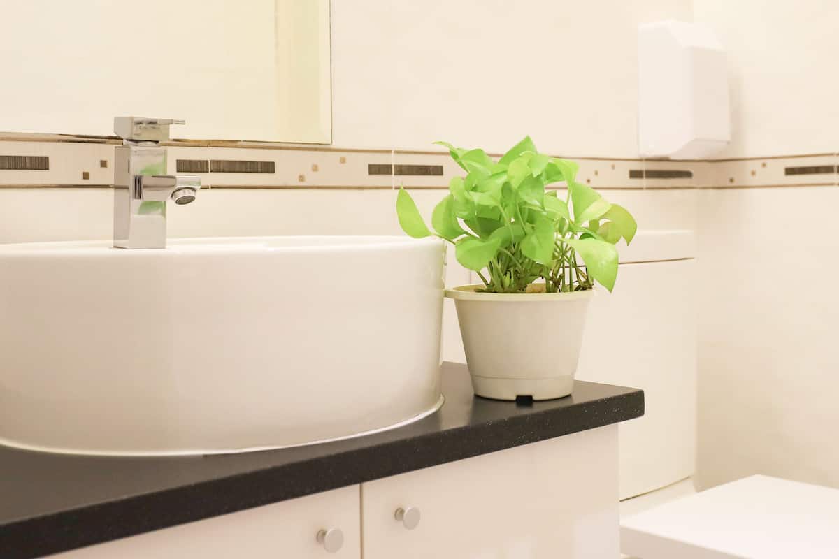 stander twin room | bathroom | separate bathtub and shower, free toiletries, hair dryer, slippers