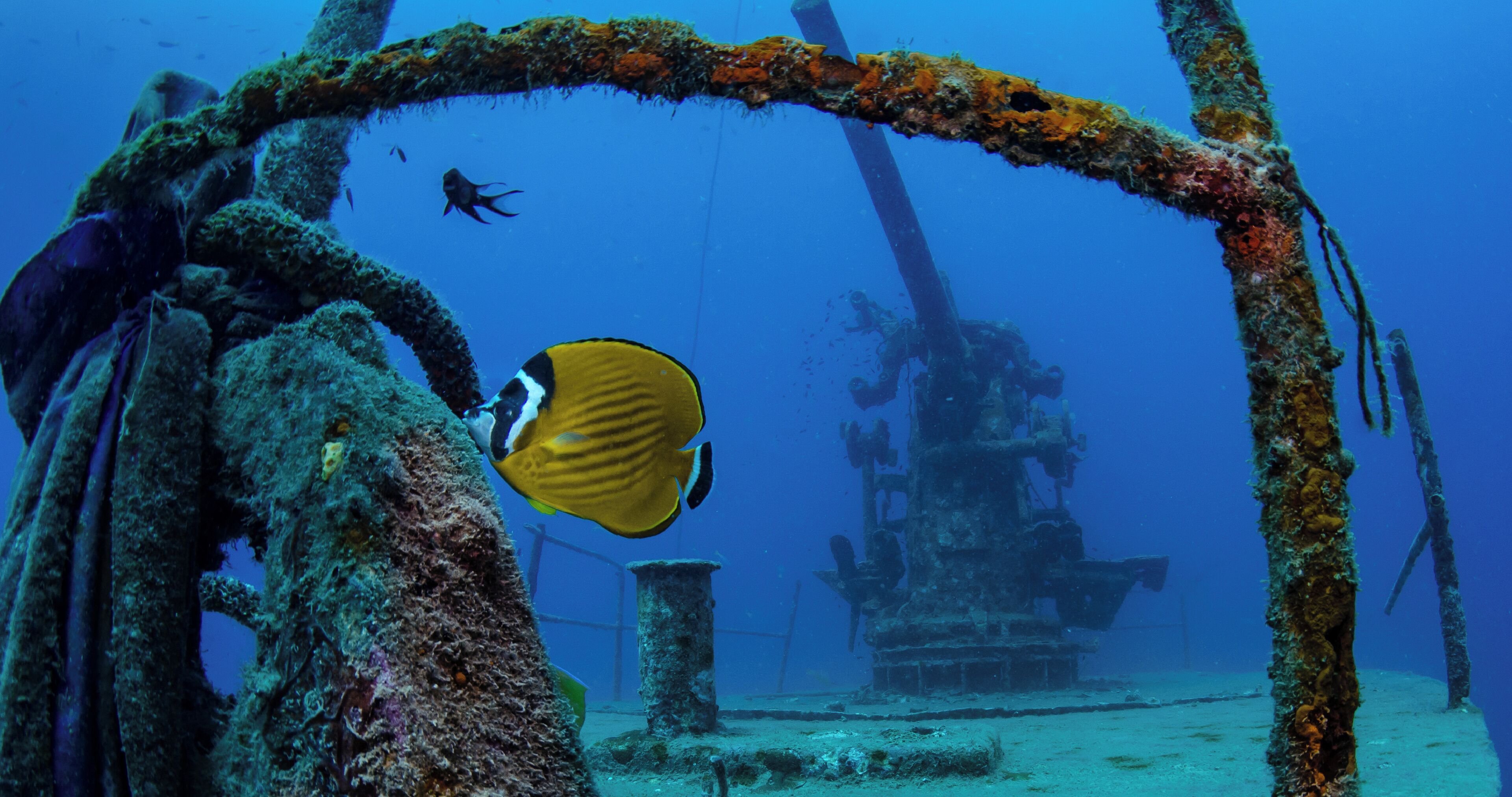 1 bedroom, premium bedding, minibar, in-room safe