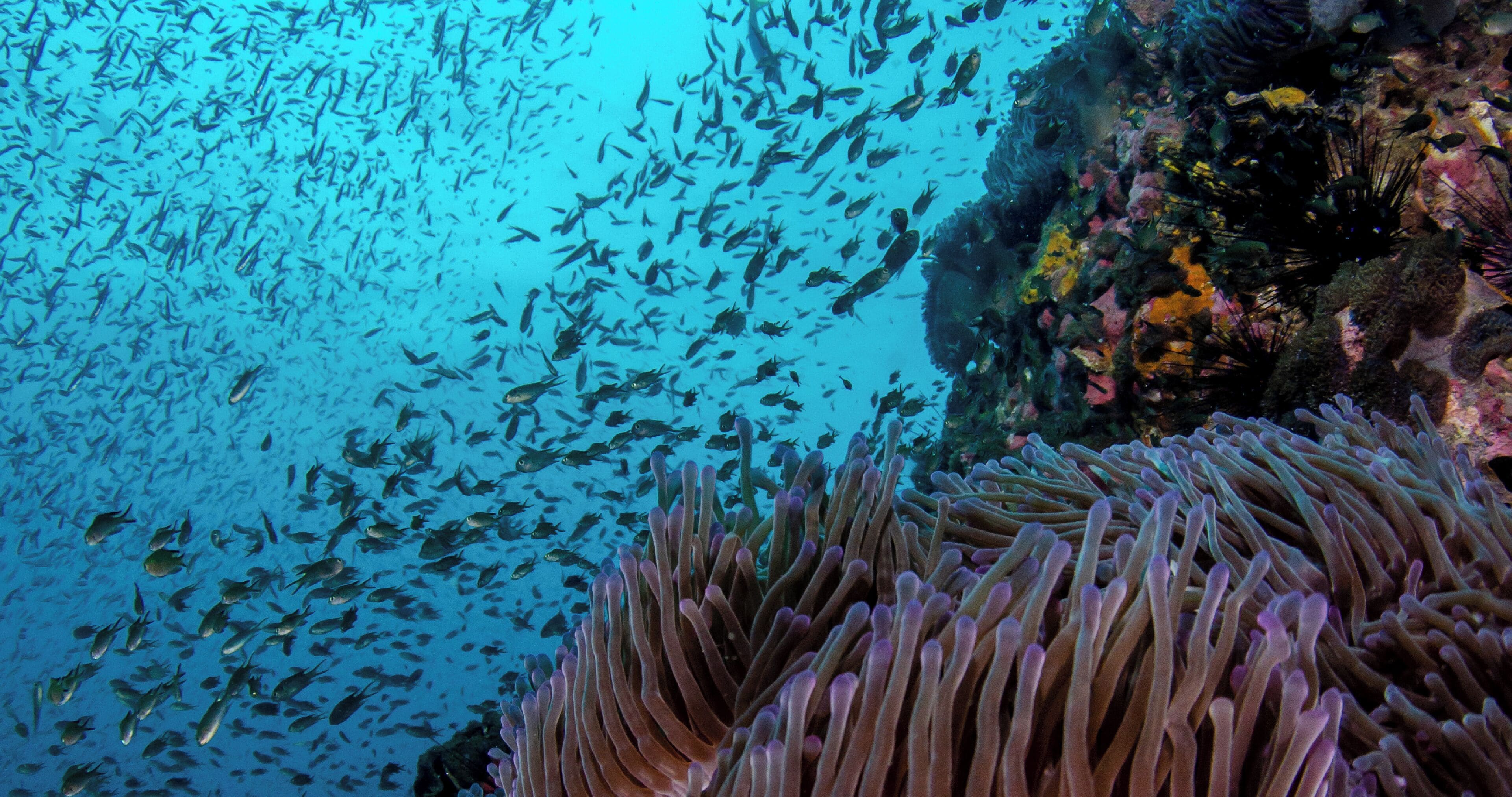 1 bedroom, premium bedding, minibar, in-room safe