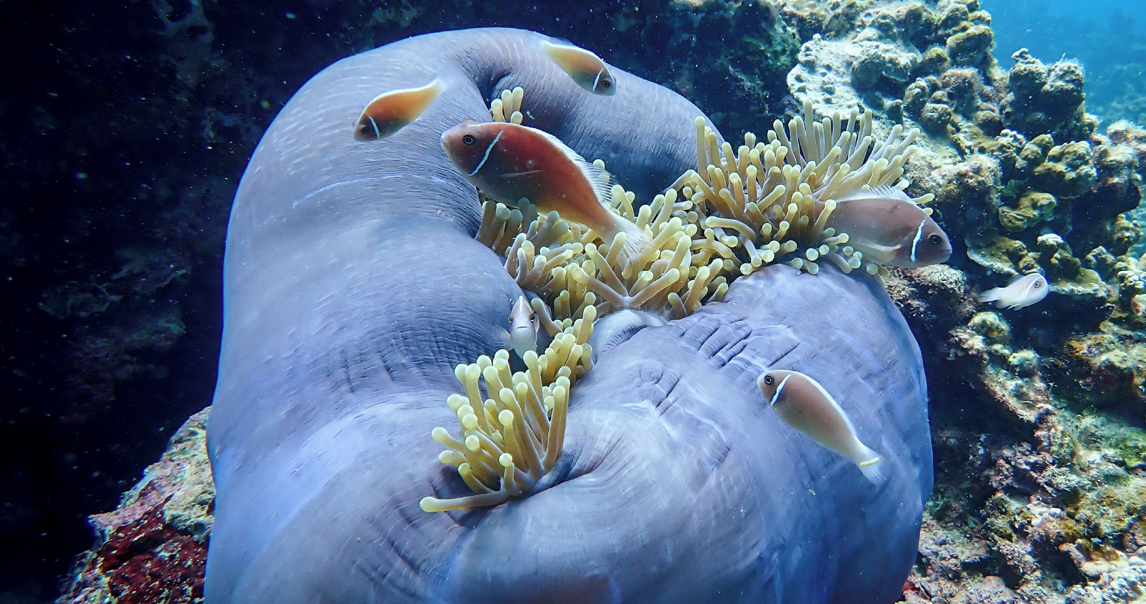 1 bedroom, premium bedding, minibar, in-room safe