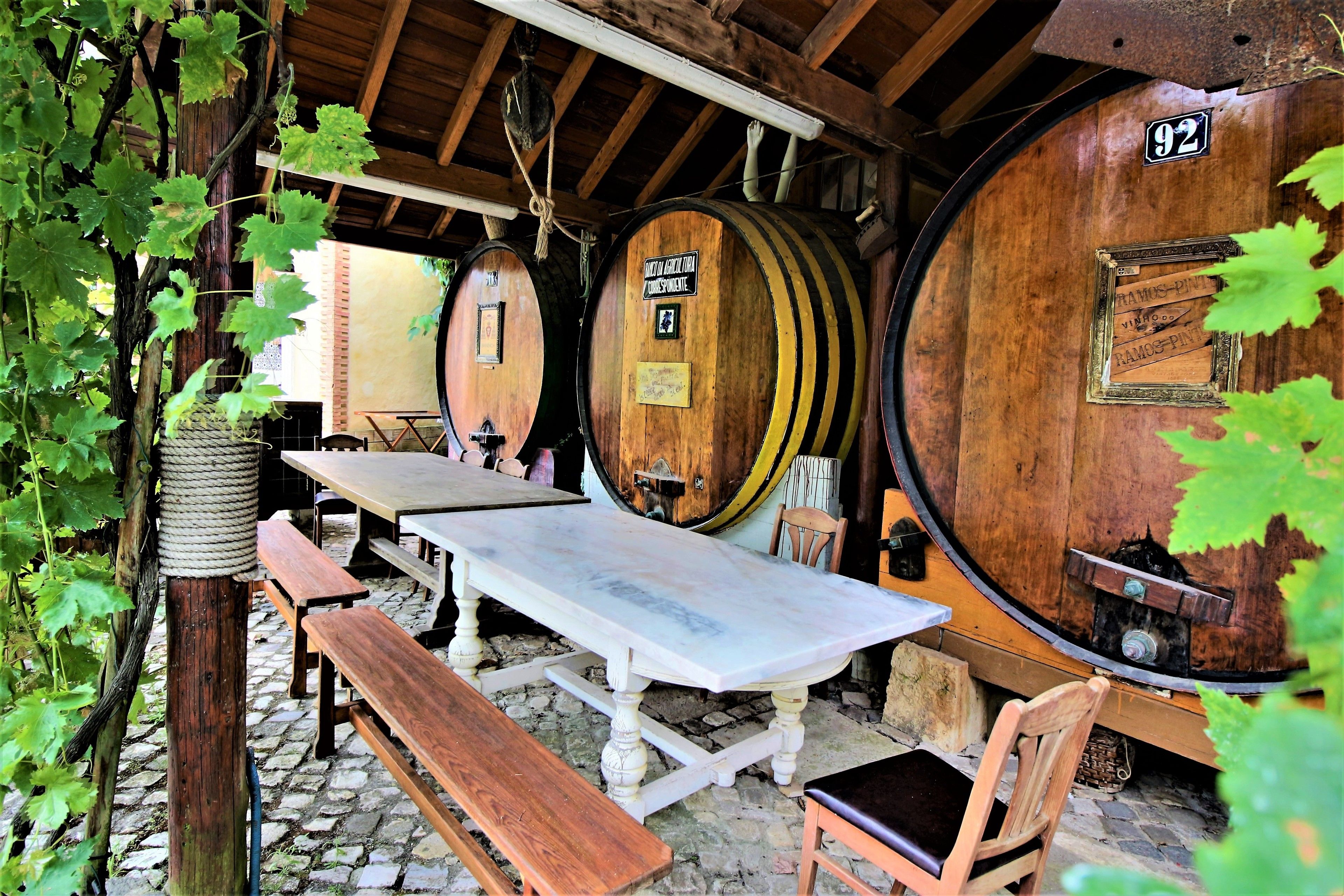 Un espacio al aire libre rústico con mesas y bancos de madera, rodeado de grandes barricas de madera, probablemente usadas para añejar vino.