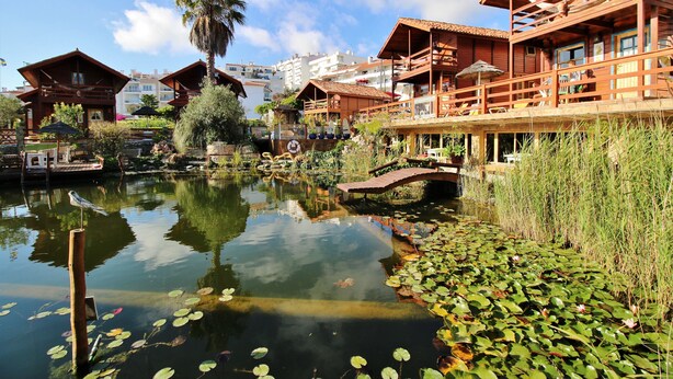Un hôtel de style cabane en bois, doté d’un étang, de nénuphars et d’un pont.