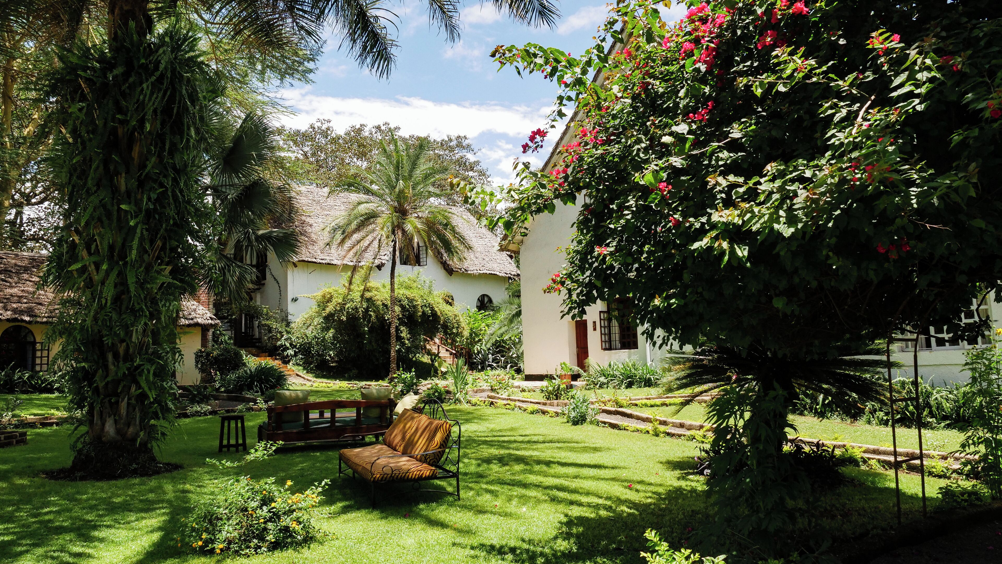 A lush garden with a thatched-roof building, a bench, and a variety of plants and flowers.