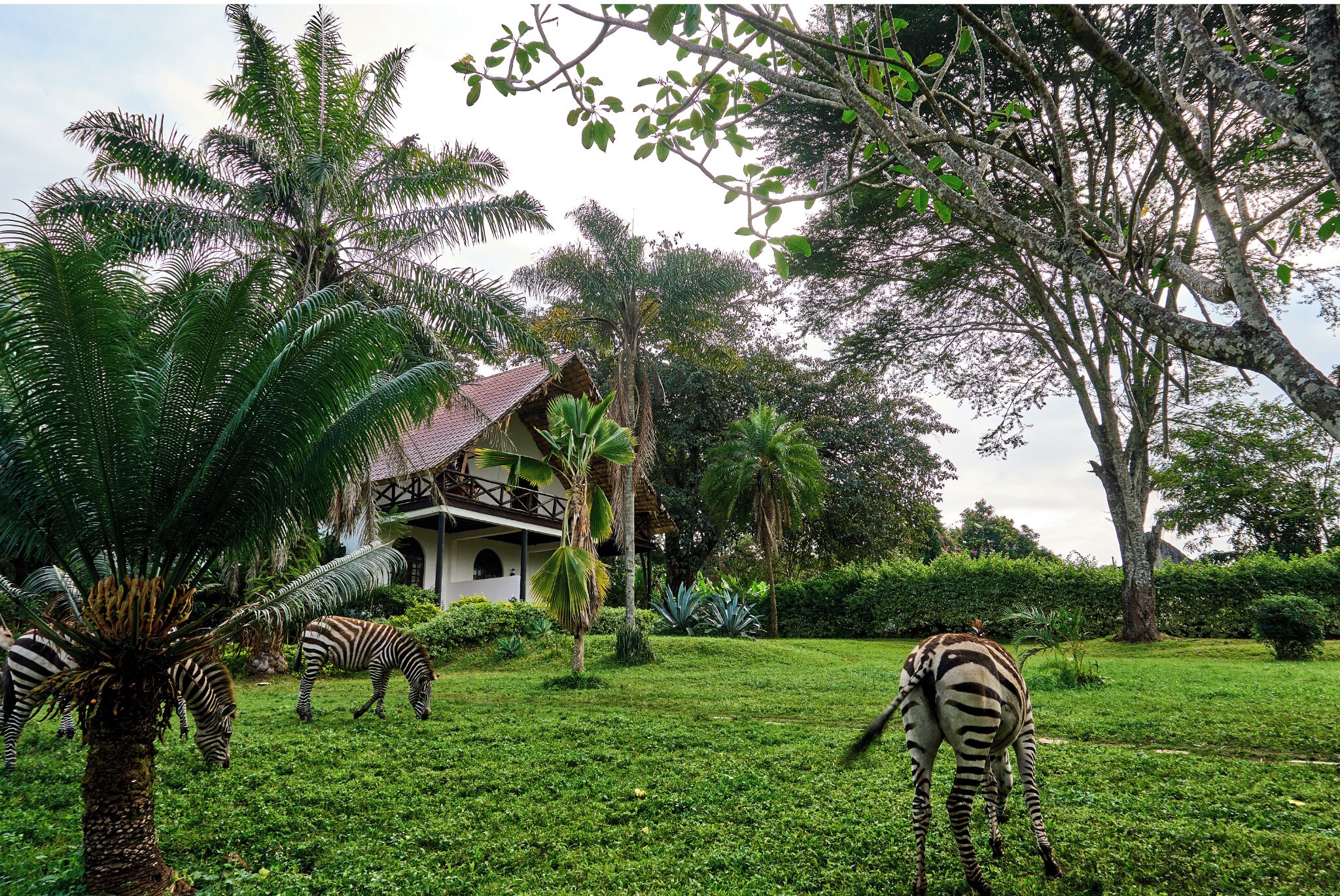 Game viewing