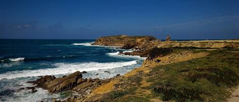 Apartment, 2 Bedrooms, Patio | Beach/ocean view