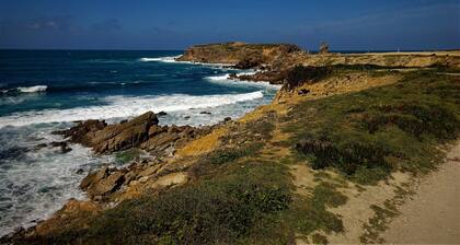 Peniche Surf Lodge - Hostel