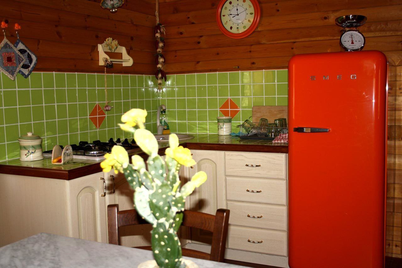Une cuisine avec un mur recouvert de carreaux verts derrière l’évier, un réfrigérateur rouge, une cuisinière et un cactus posé sur la table.